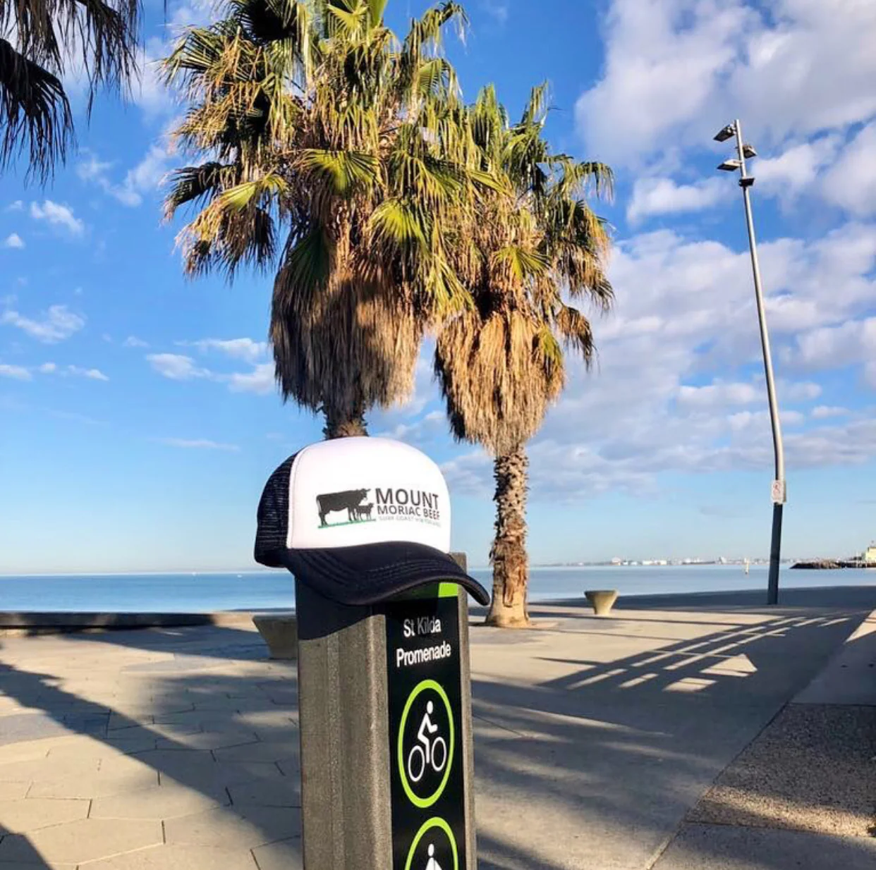 Mount Moriac Beef Hat - Image 3