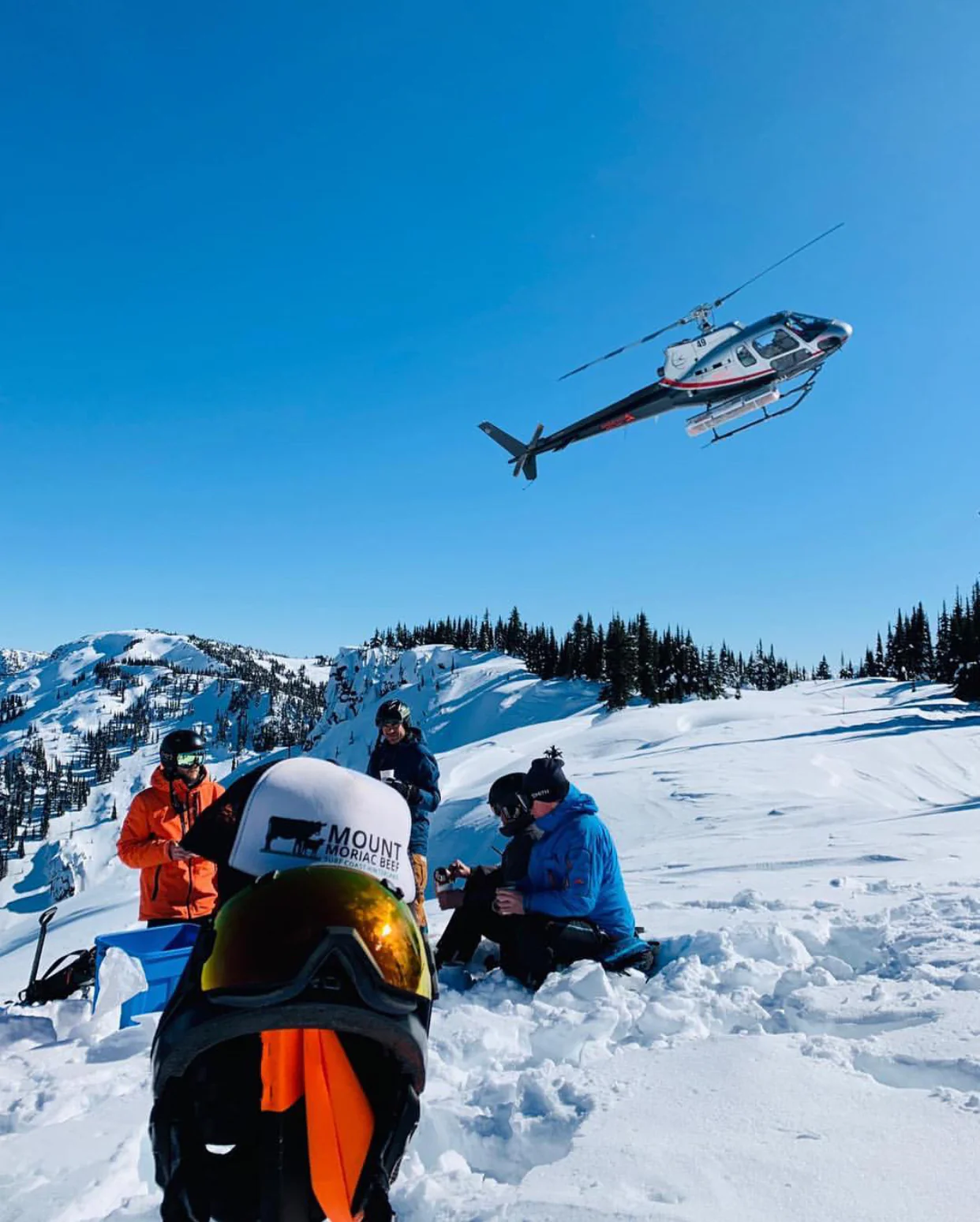 Mount Moriac Beef Hat - Image 9